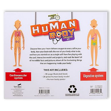 SpiceBox Science Lab: Human Body Kit