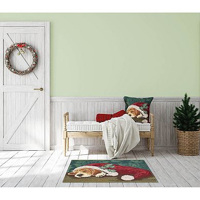 Liora Manne Marina Nap In A Cap Indoor / Outdoor Throw Pillow