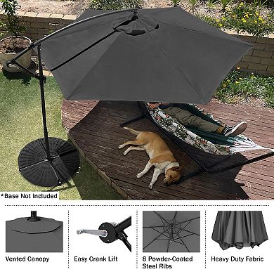 Pure Garden 10-ft Offset Outdoor Patio Umbrella
