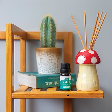BigMouth Mushroom Eucalyptus Reed Diffuser
