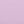 Blue Lilac