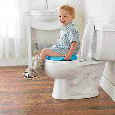 Fisher-Price Toddler Potty Training Seat with Lights and Sounds