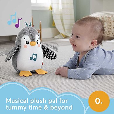 Fisher-Price Plush Tummy Time Toy, Flap & Wobble Penguin and Newborn Musical Toy Set