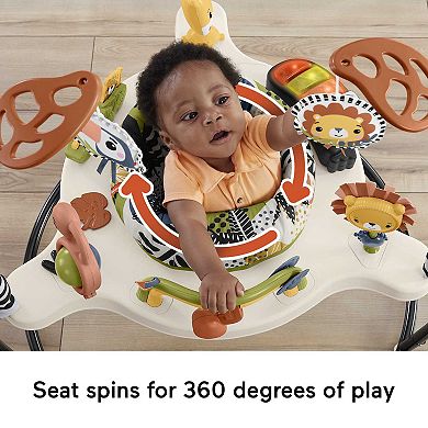 Fisher-Price Palm Paradise Jumperoo Activity Center
