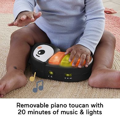 Fisher-Price Palm Paradise Jumperoo Activity Center