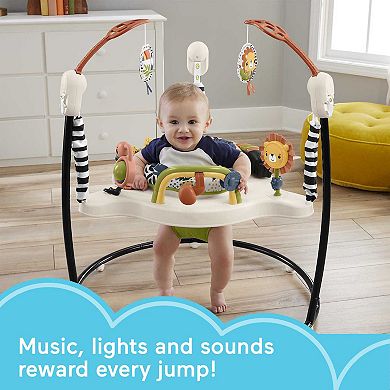 Fisher-Price Palm Paradise Jumperoo Activity Center