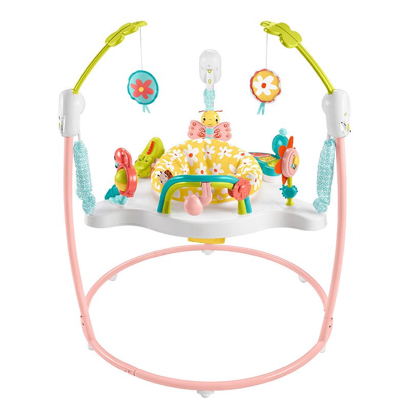 Fisher-Price Baby Bouncer Blooming Fun Jumperoo Activity Center with Music & Lights, None