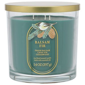 Sonoma Goods For Life® 14-oz. Balsam Fir Single Pour Candle Jar