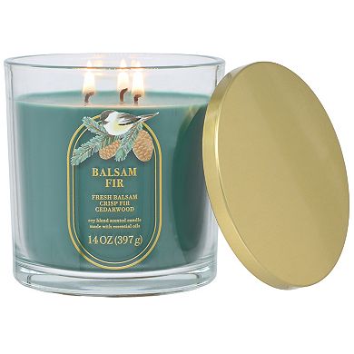 Sonoma Goods For Life® 14-oz. Balsam Fir Single Pour Candle Jar