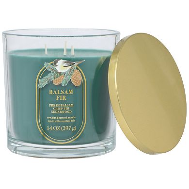 Sonoma Goods For Life® 14-oz. Balsam Fir Single Pour Candle Jar