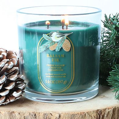 Sonoma Goods For Life® 14-oz. Balsam Fir Single Pour Candle Jar