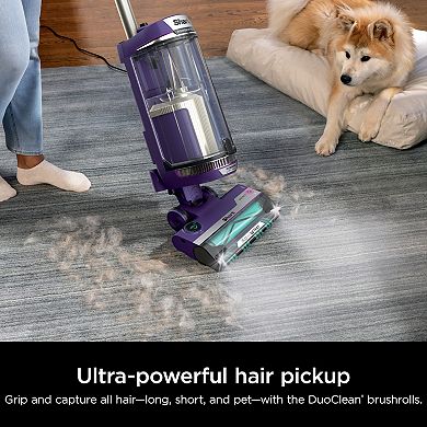 Shark POWERDETECT Upright Vacuum with DuoClean Detect Technology and Self-Cleaning Brushroll (AZ4002)