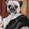 Captain Pug