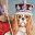 King Charles Spaniel I