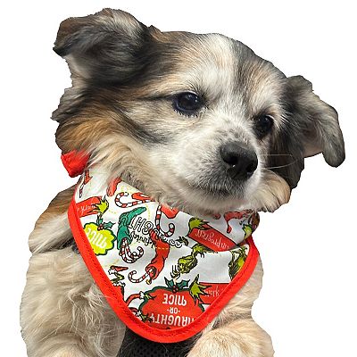 Dr. Seuss Grinch Pet Bandana