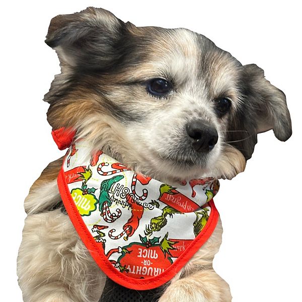 Dr. Seuss Grinch Pet Bandana - Multi (S/M)