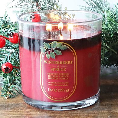 Sonoma Goods For Life® 14-oz. Winterberry & Spruce Single Pour Candle Jar