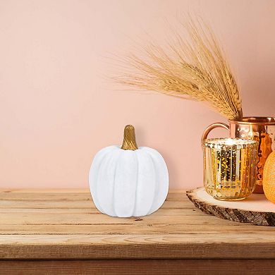 Flocked Pumpkin Tabletop Decor Assortment - Styles May Vary