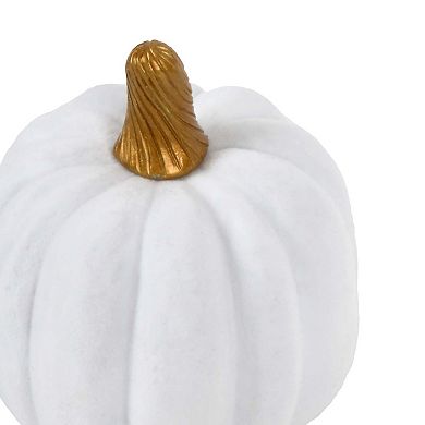 Flocked Pumpkin Tabletop Decor Assortment - Styles May Vary