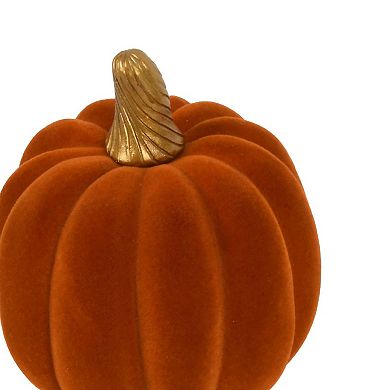 Flocked Pumpkin Tabletop Decor Assortment - Styles May Vary