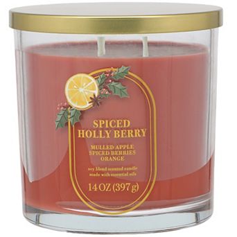 Sonoma Goods For Life® 14-oz. Spiced Holly Berry Single Pour Candle