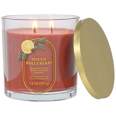 Sonoma Goods For Life® 14-oz. Spiced Holly Berry Single Pour Candle