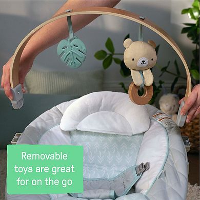 Ingenuity Cozy Spot Soothing Baby Bouncer