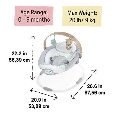 Ingenuity Cozy Spot Soothing Baby Bouncer