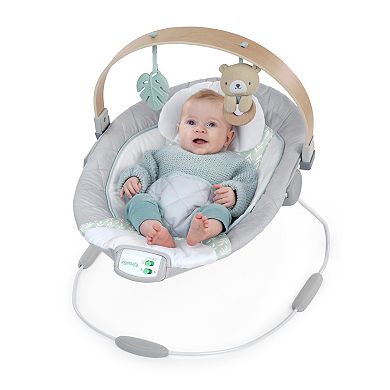 Ingenuity Cozy Spot Soothing Baby Bouncer