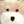 Baby Bear