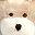 Baby Bear