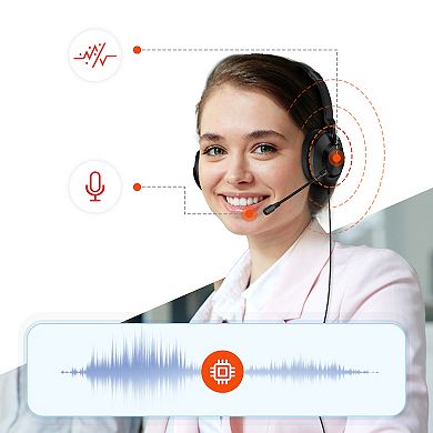 Delton 32y Dual Microphone USB Headset, Noise Cancelling Stereo Headphone (DWH32Y)