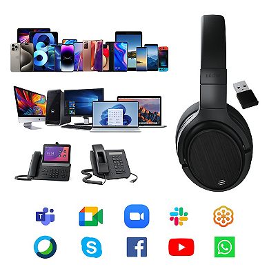 Delton M101D Bluetooth Headphones, Wireless Over-Ear Headset for Home/Office (DBHM101D)
