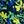 Navy Blue Multi