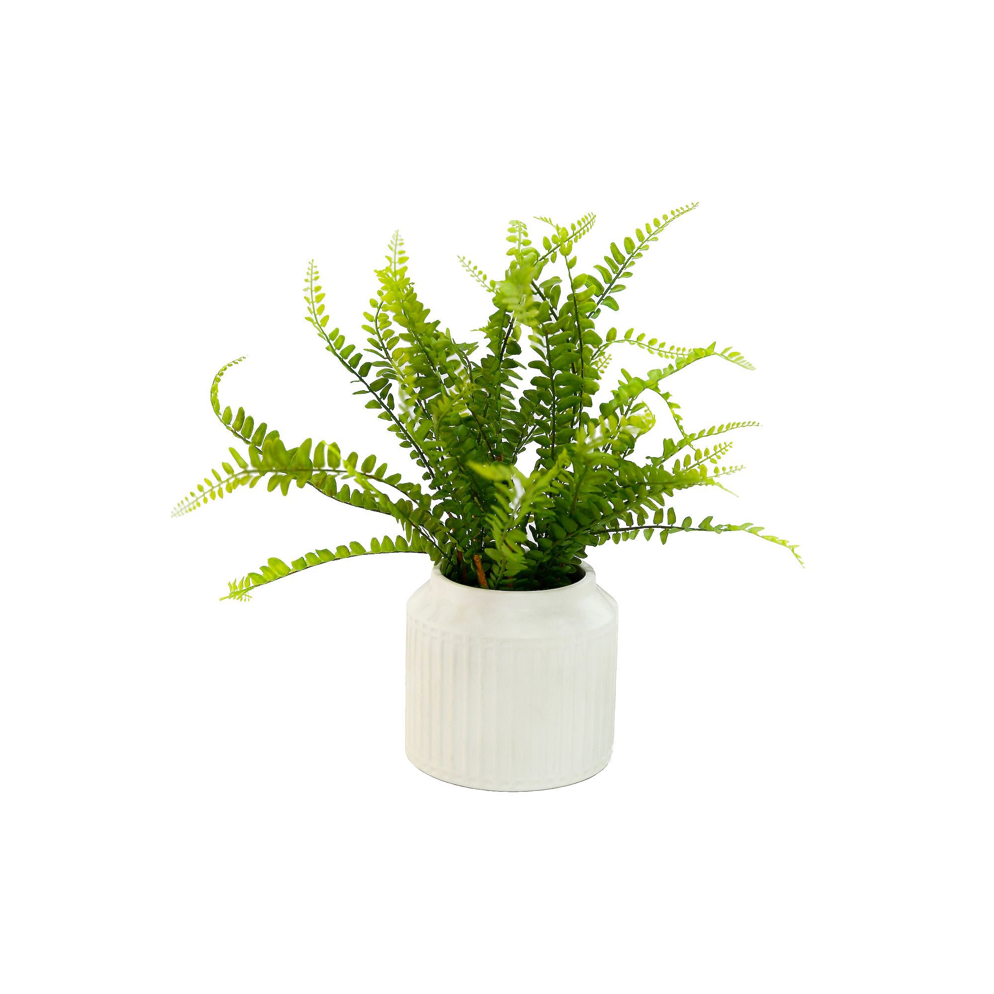 LCG 13 Artificial Fern in Ceramic Pot Table Decor, Green
