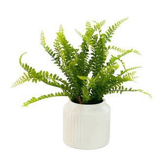 LCG 13" Artificial Fern in Ceramic Pot Table Decor
