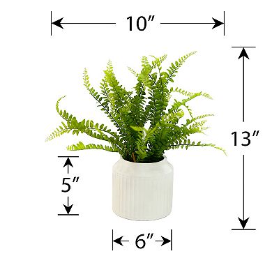 LCG 13" Artificial Fern in Ceramic Pot Table Decor