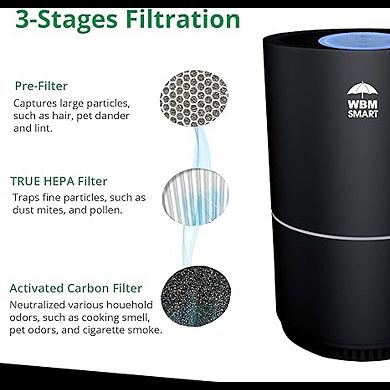 Wbm Smart Hepa Air Purifier,covers Upto 1440 Sq Ft Room, Filters 99.97% Of Allergens
