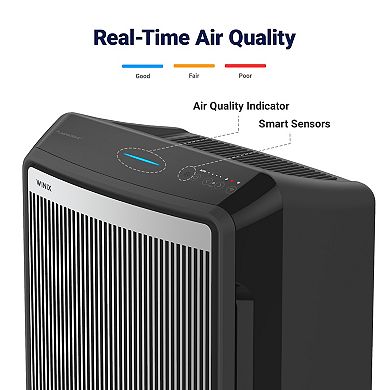 Winix 9800 True Hepa Air Purifier