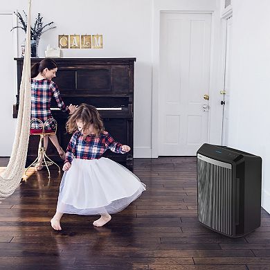 Winix 9800 True Hepa Air Purifier