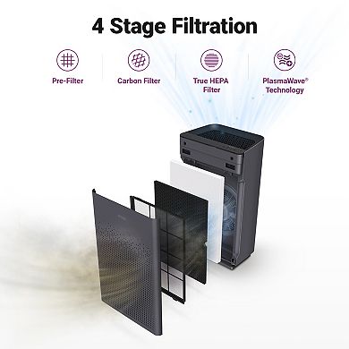 Winix AM80 True HEPA Air Purifier