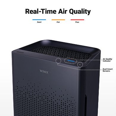 Winix AM80 True HEPA Air Purifier