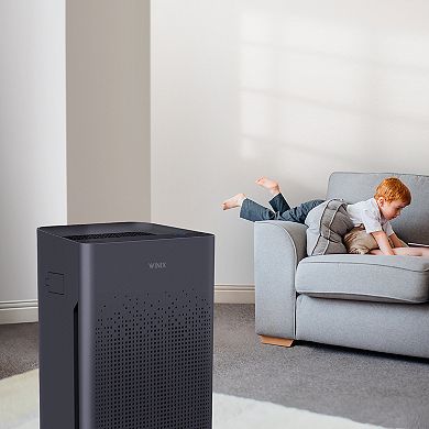 Winix AM80 True HEPA Air Purifier