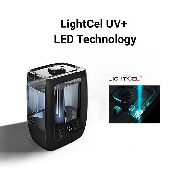 Winix L200 2 Gallon Humidifier