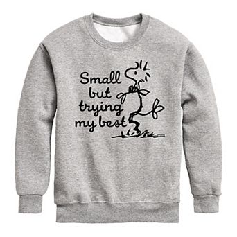 Boys 8-20 Peanuts Woodstock Small But Trying My Best Fleece Sweatshirt