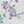 Lavender Floral