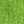 Neon Green