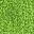Neon Green