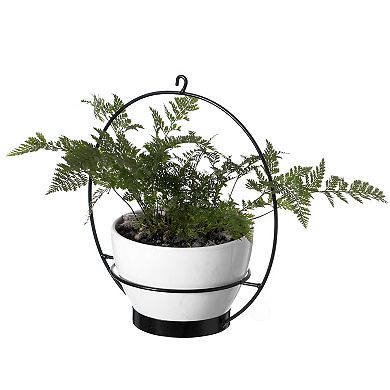 Decorative Metal Hanging Planter with Tree Pots for Flowers