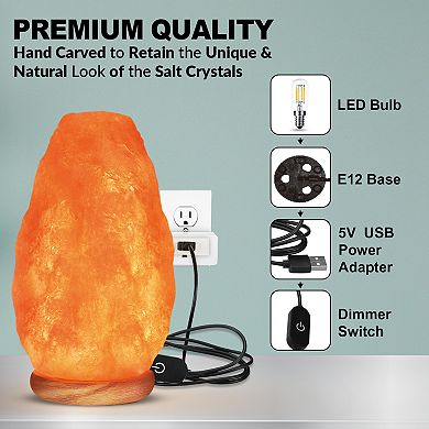 Himalayan Glow Salt Lamp, Pink Crystal Salt, Neem Wood Base, Dimmer Switch , 9 Lbs